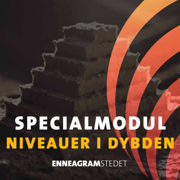 Specialmodul - Niveauer i dybden · 4-5 februar 2025